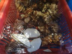 刀贝-吉友粥底火锅(方斜路店)