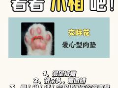 -Bastet sally猫舍购宠(静安店)
