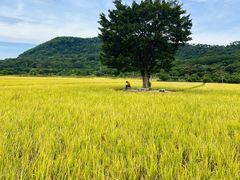 -风云岭森林公园