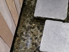 -邈墨茶馆(凤起路店)