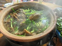 -霞姐屯昌枫木香草鸭店(海螺店)