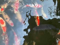 -香麒园·过桥米线·南湖雅宴