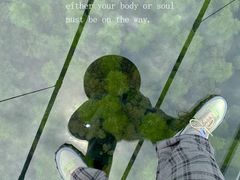 -中国大竹海景区