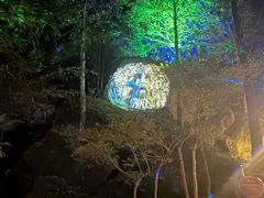 -大围山国家森林公园