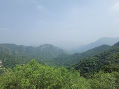-大岭沟猕猴桃谷风景区