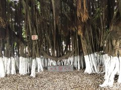 -胡里山炮台