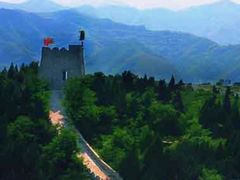 -原山国家森林公园