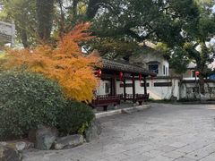 -江心屿景区