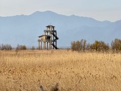 -野鸭湖国家湿地公园