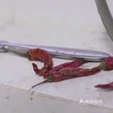 爽辣刺激的炒茄子人人都爱