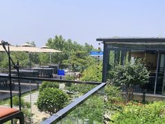 -蘇河湾·新鲁菜·泰山宴(泰山店)