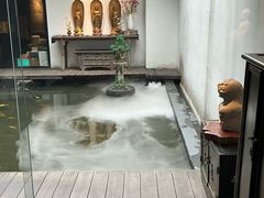 -觀芷隐轩