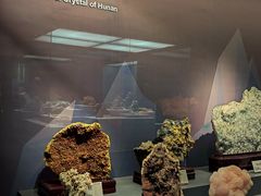 -湖南省地质博物馆