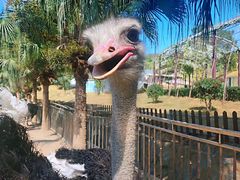 -泉州海丝野生动物世界