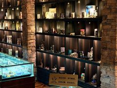 -雪灵魔法世界SHELLY’S TAROT(大良桂畔里店)