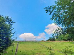 -谷丰健康凤贤居酒家