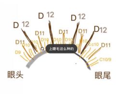 -杨丹国际美学肌研所