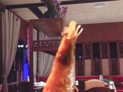 火焰虾-绿茶餐厅(布吉万象汇店)