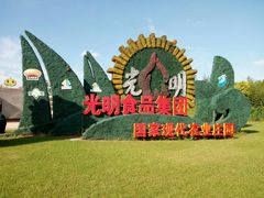 -上海都市菜园