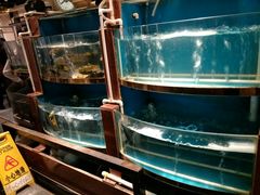 水产区-巴渝菜舍曾氏麻辣风(霸州店)