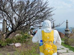 -长沙黑麋峰国家森林公园