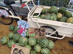-中海环宇荟