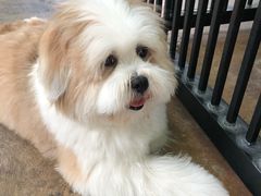 -TrueLove @ Neverland (Husky Cafe)