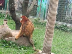 -西安秦岭野生动物园