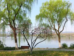 -苏堤停车场