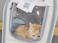 -美联众合动物医院·24h转诊中心