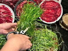 -巴蜀大将火锅(春熙店)