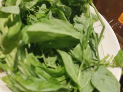 -大龙燚火锅(春熙店)