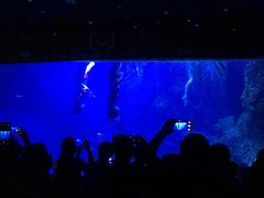 -左海海底世界