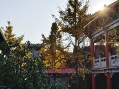 -长沙黑麋峰国家森林公园