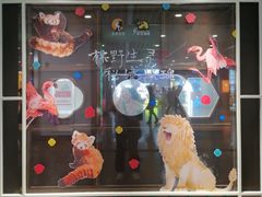 -茶理宜世(东方宝泰店)