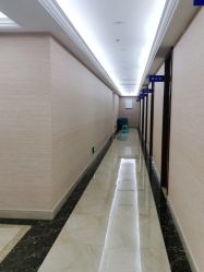 -碧莲盛·不剃发植发