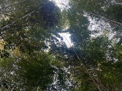 -敬亭山风景名胜区