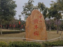 -中山市树木园