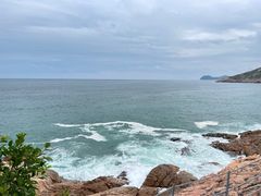 -广东惠东海龟国家级自然保护区