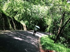 -大蜀山国家森林公园