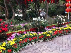 iphone_upload_pic-人民公园(罗湖区)