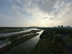 -春花秋色城市公园