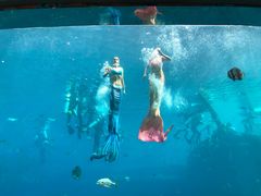 -瑞德姆美人鱼海底演艺主题餐厅(亚龙湾店)