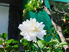 -上海油画雕塑院