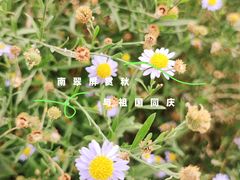 -南翠屏公园