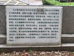 -马王堆汉墓遗址