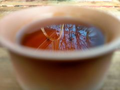 -伴山茶苑·围炉煮茶