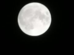 -武汉两江游览·夜游长江(汉口粤汉码头)