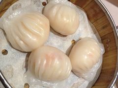 -糖朝(尖沙咀店)