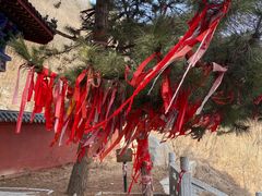 -九鼎铁刹山风景区